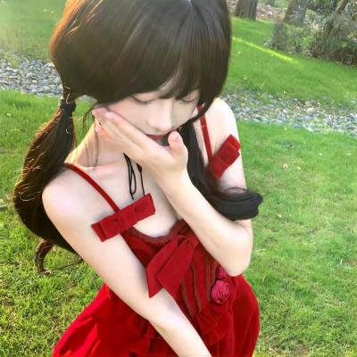 翼龙